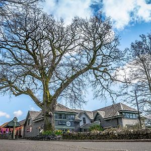 Oak Tree Inn